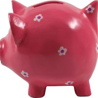 économie tirelire pourpre