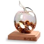 Tirelire en Verre Pomme Feng-Shui